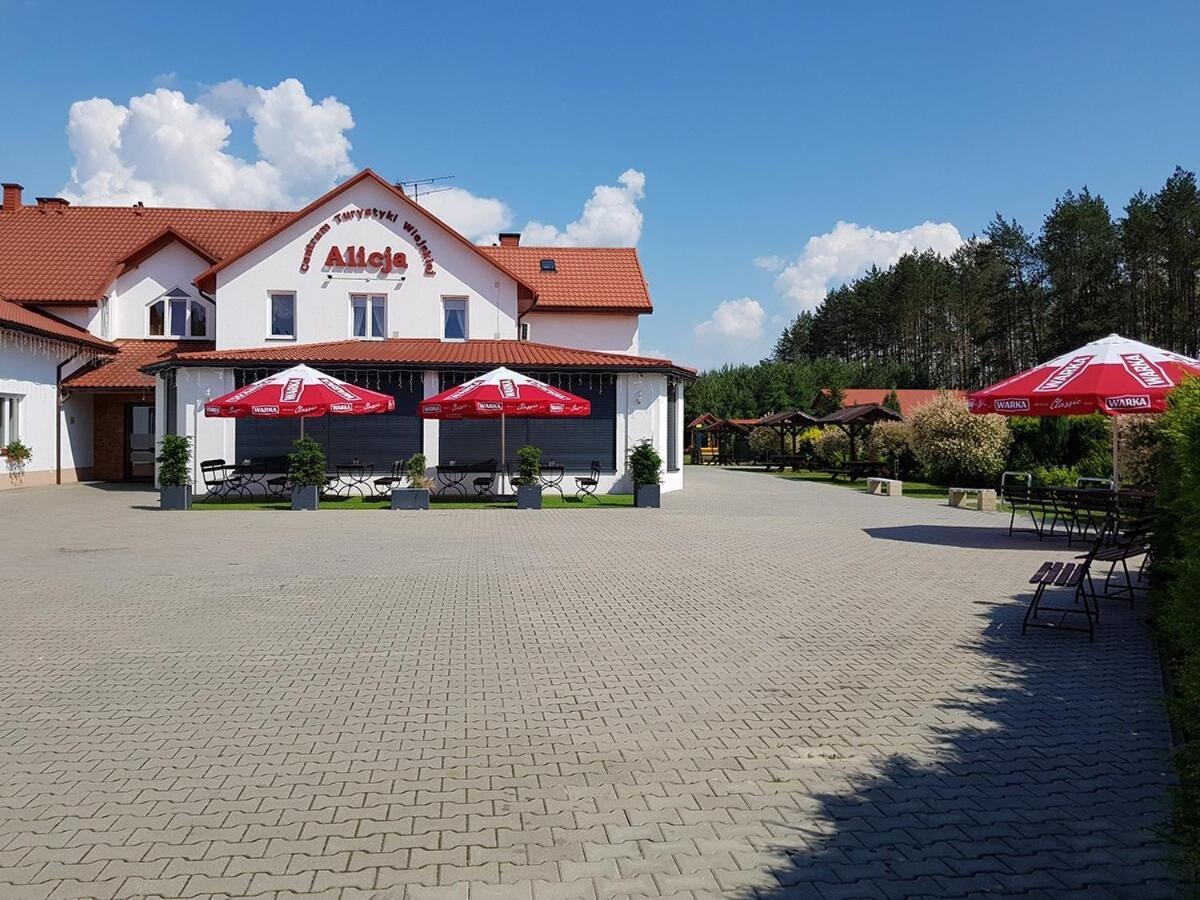 Centrum Turystyki Wiejskiej Alicja Ksiezpol Exterior photo